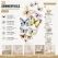 3D sommerfugle hvide 12 stk infografik med guide til opsætning og vægdekoration