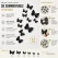 Infografik med 3D sorte sommerfugle wallstickers 12 stk med guide til opsætning og vægdekoration