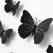 Close-up af 3D sorte sommerfugle wallstickers med detaljer og realistisk 3D effekt på væg