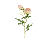 Rose med 2 hoveder Lyserød 55 cm