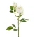 Rose med 2 hoveder creme/grøn 55cm kunstige blomster
