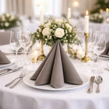 Elegant festbord dækket med gråbrun Sovie Linclass airlaid serviet foldet dekorativt på hvid tallerken