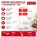 Fødselsdagsflag til bord med fod 8 stk – Dannebrog bordflag infografik med mål og produktinformation