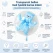 Infografik med transparent ballon og lyseblå ballonbamse til drenge babyshower, barnedåb og Baby Welcome Home.