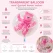 Infografik af transparent ballon med lyserød latex ballonbamse indeni med produktinformation til pige babyshower, barnedåb og fejring af en nyfødt pige.
