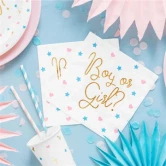 Servietter Boy or Girl 33cm x 33cm, 20 stk. gender reveal