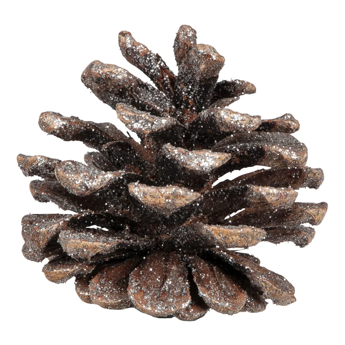 Kogler med glimmer 5-9cm, 9-10 stk. naturpynt