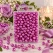 Lilla perler 8 mm til dekorativ bordpynt og blomsterdekoration