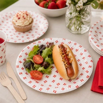 Brugsbillede af paptallerkener med Dannebrog flag til dansk fødselsdag med hotdog, salat og festbord