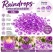 Infografik over lilla Raindrops dekorationsdråber 2-4 mm, 330 ml, til bordpynt, glasvaser og kreative dekorationer