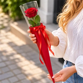 Person holder rød rose i elegant rød roseæske med satinbånd – perfekt som studentergave, til studenterfest og særlige anledninger.