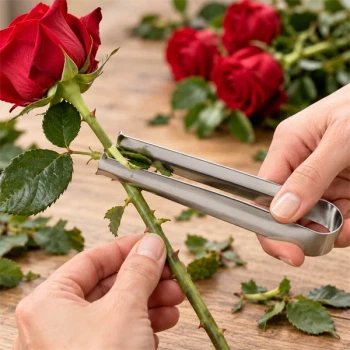 Rosentornefjerner i metal i brug til at fjerne torne og blade fra en rød rose
