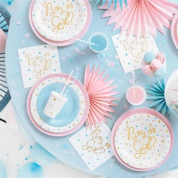 Servietter Boy or Girl 33cm x 33cm, 20 stk. koensafsloering