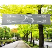 Banner Sølvbryllup 25 sølv 40cm x 1,8m festartikler